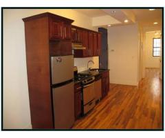 $3100 / 3br - EXTRAORDINARY DUPLEX APT FOR RENT BACKYARD HUGE LIVING AREA - (East Williamsburg, NYC)