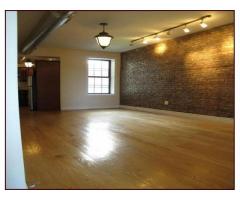 $3000 / 3br - LUXURIOUS 3BR APT FOR RENT SUPER HIGH CEILING CENTRAL H/ AC - (East Williamsburg, NYC)