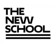 The New School Seeks Data and Reporting Analyst - (Union Square, NYC)