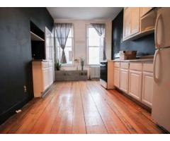 $2499 / 2br - Lovely Artsy fartsy 2bd Apt for Rent off the Graham L in Sillyburgh - (Bushwick, NYC)