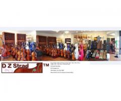 D Z Strad Summer Camp w/ Violin Viola Cello Piano Lessons - (White Plains, NY)
