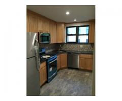 $2900 / 3br - BRAND NEW 3 BR/ 1 BATH APT for RENT PET FRIENDLY! - (ASTORIA, NYC)