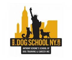 Dog Training in Queens NY, Long Island, Bayside, Flushing, Astoria - (NY)