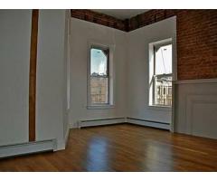 $2599 / 2br - Beautiful renovated 2BR, Private Terrace, must see! - (Bushwick, Ridgewood, NYC)