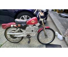 1994 HARLEY SPORSTER BICYCLE BY ROADMASTER FOR SALE - $100 (staten island, NYC)