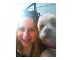 UES female walker/ sitter (pet's home) Routine*AsNeeded*Private Walks - (Upper East Side, NYC)