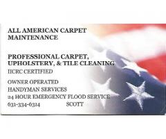GREEN ECO-SAFE CARPET CLEANING***2 ROOMS $59**HOUSE SPECIAL $99** (VALLEY STREAM, NY)