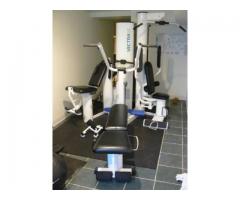 Three Station Home Gym: Vectra 1600 only 78