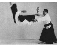 Aikido in Westchester - Martial Arts Training (White Plains, NY)